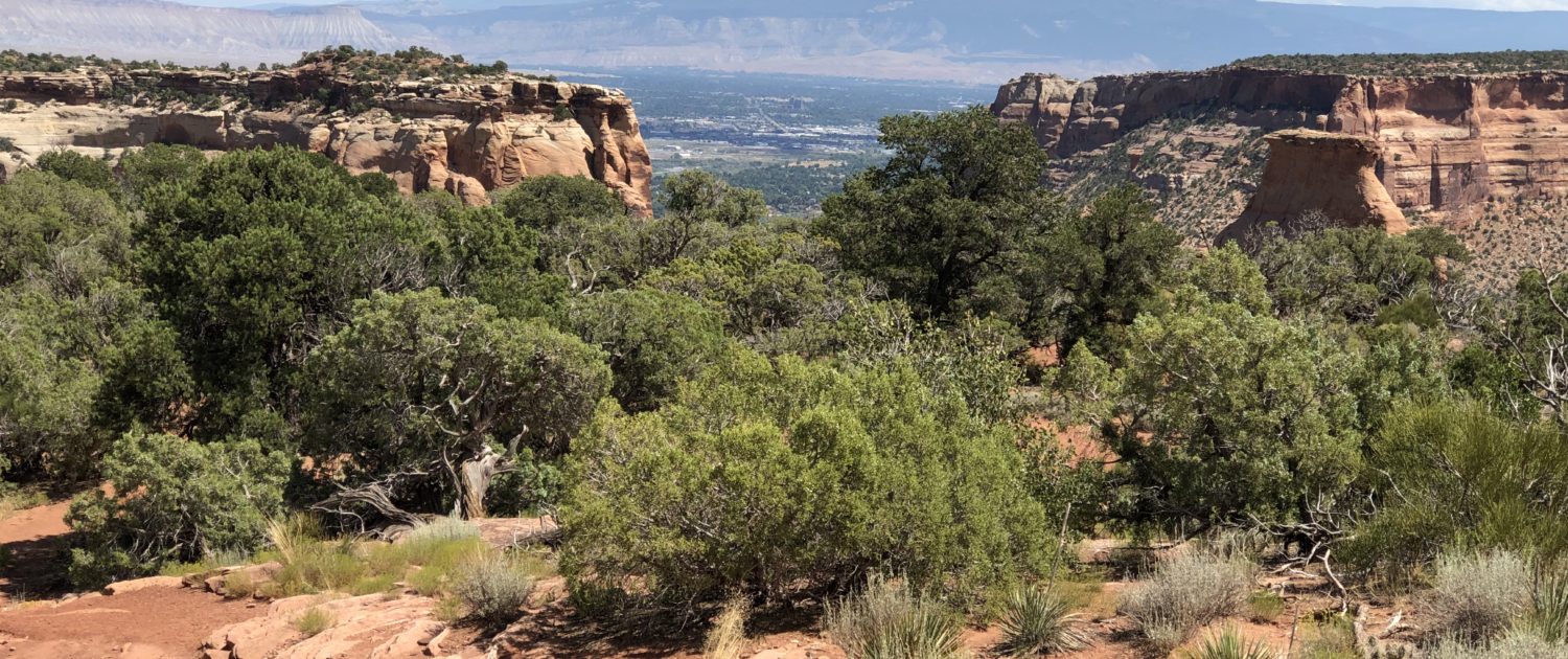 Move to Grand Junction as seen from the Colorado National Monument