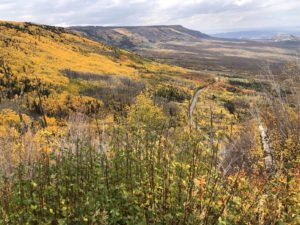 Two Day Itinerary from Grand Junction includes the Grand Mesa