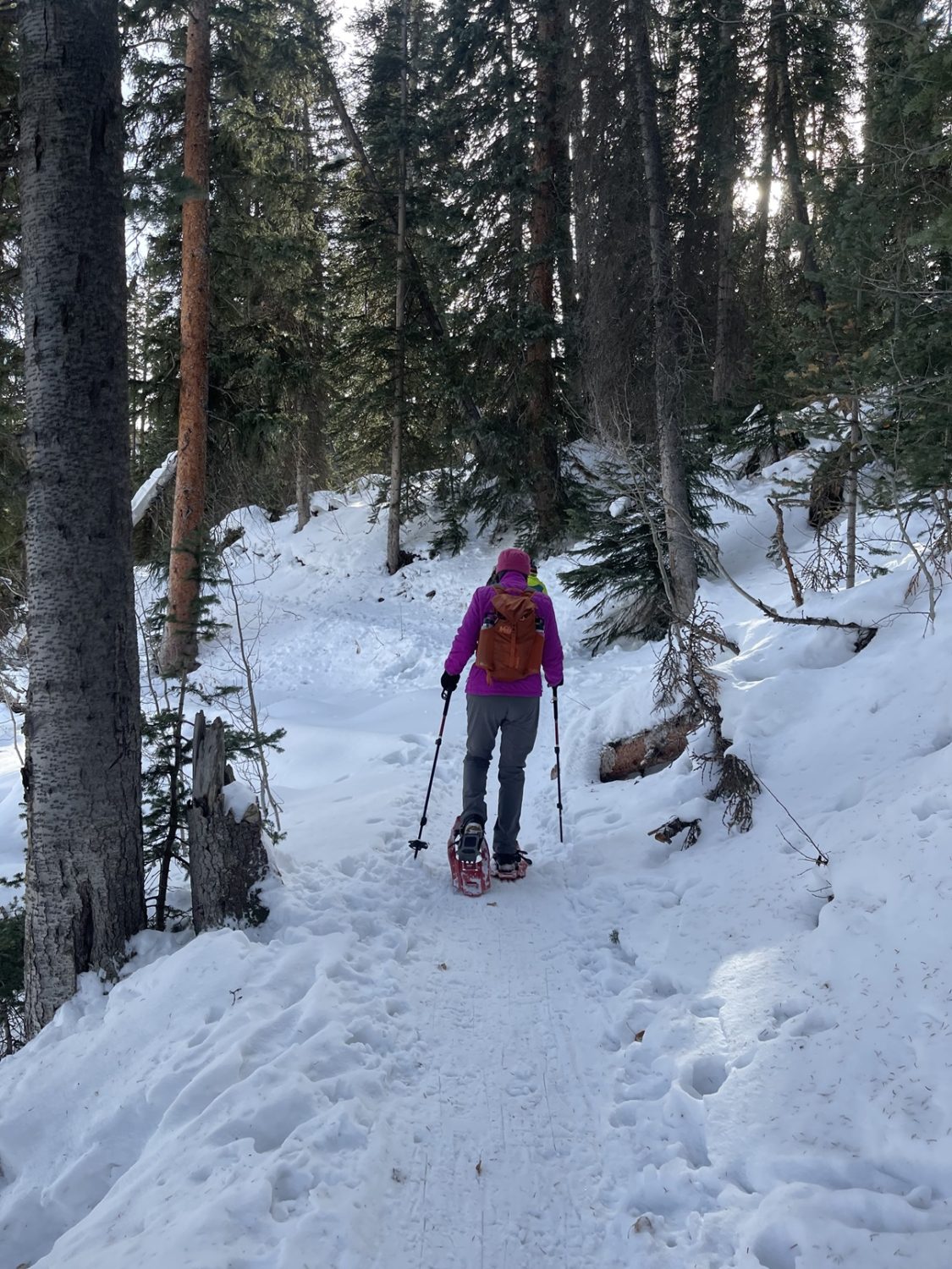 Top Day Trips from Grand Junction, Colorado Move to Grand Junction