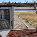 Little Free Library Las Colonias