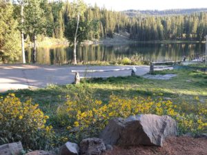 Mesa Lakes Lodge Lake Loop