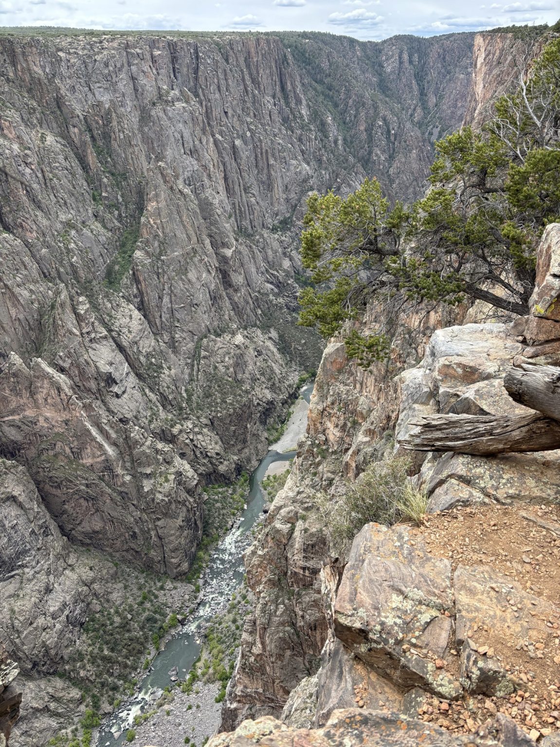 North Rim Spring North Rim Black Canyon of the Gunnison National Park - Move to Grand ...