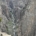 North Rim Black Canyon of the Gunnison National Park