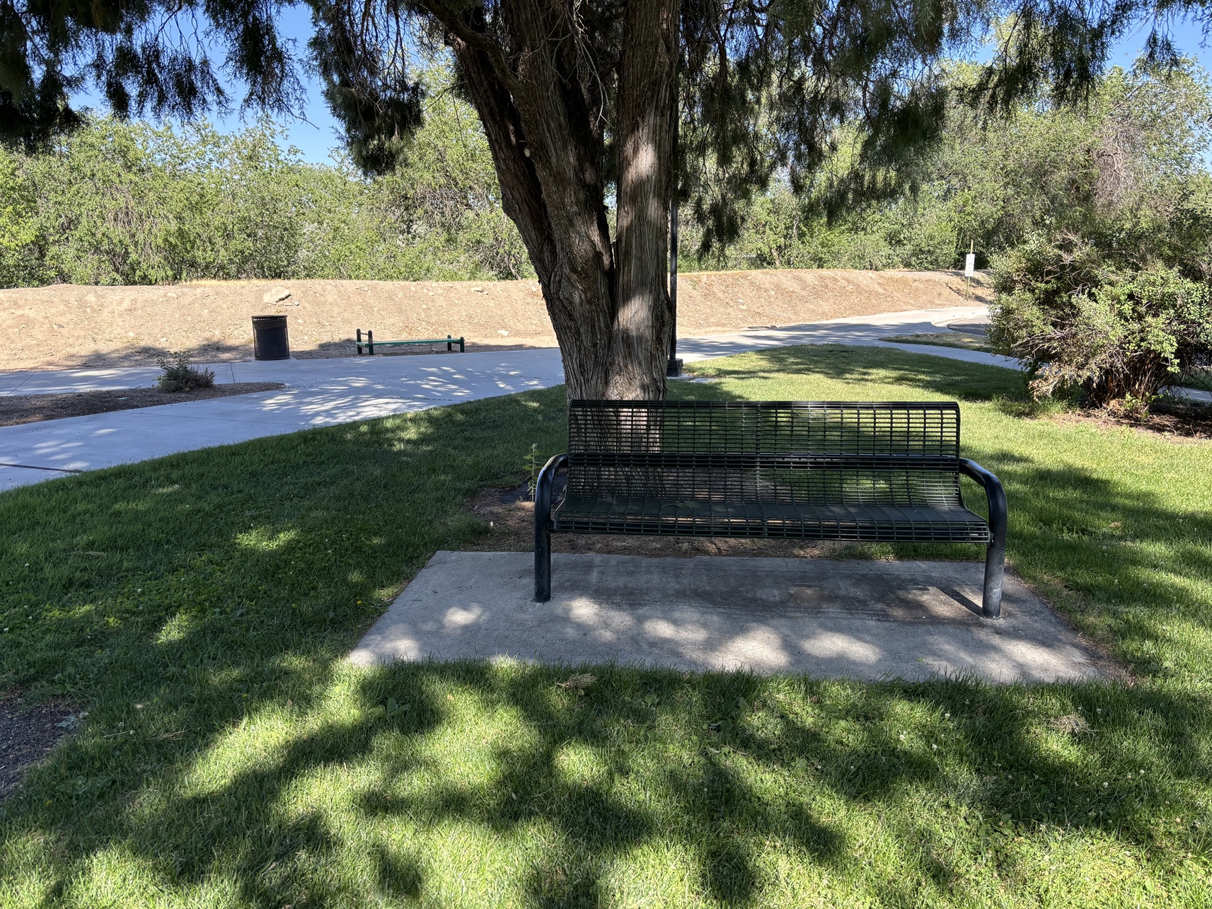 Riverside Park bench under shade of a tree