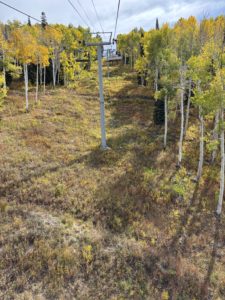 Yellow and green aspen leaves viewed from the chairlift at Powderhorn Mountain Resort