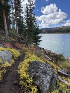 Hiking trail around Ward Lake on the Grand Mesa showing rocks, green and red ground cover and the lake
