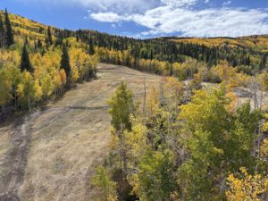 View of the mountain biking trail below the chairlift at Powderhorn