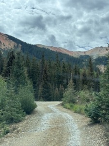 Red Mountain Mining Area Trail start