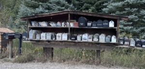 Marble Mailboxes lined up along with free books