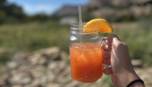 Megan doing Cheers with cocktail with Mount Garfield in the background
