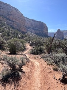 Wedding Canyon Trail